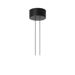 Arrangement Rose coupelle de plafond, Black, small