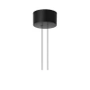 Arrangement Rose coupelle de plafond, Black, big