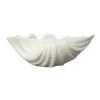 Bol Shell, 9 x 23 cm