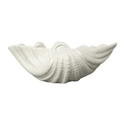 Bol Shell, 9 x 23 cm