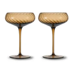 Coupe à champagne Opacity 30 cl lot de 2, Marron