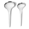 Cuillère de service Bloom, lot de 2
