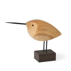 Décoration Beak Bird, Awake Snipe
