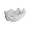 Décoration Shell, Small