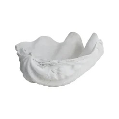 Décoration Shell, Small