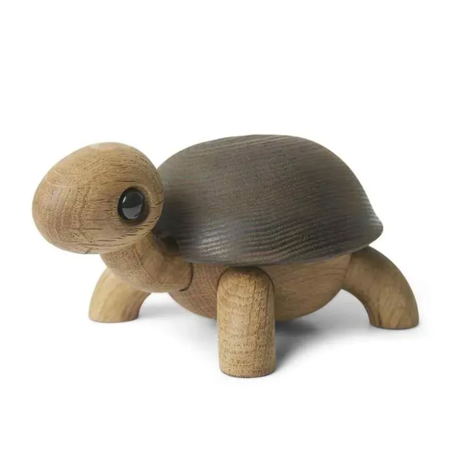 Décoration tortue Slowy, Chêne-frêne