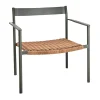 DK fauteuil lounge, Nordic green