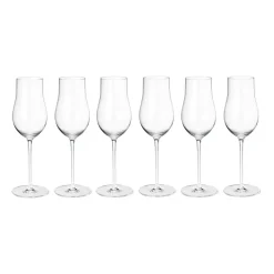 Flûte à champagne 25 cl Sky, lot de 6, Transparent