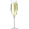 Flûte à champagne Eva Solo, 1 pièce