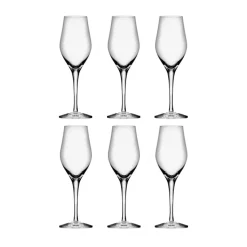 Flûte à champagne Sense 25,5 cl, lot de 6, Transparent