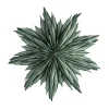 Helena étoile de l'Avent Ø44 cm, Green