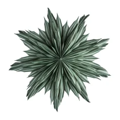 Helena étoile de l'Avent Ø44 cm, Green