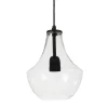 Lampe à suspension Hamilton 21 cm, transparent-noir