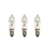 Lot de 3 lampes de rechange E10 Star Trading, 305-55 (5 bras)