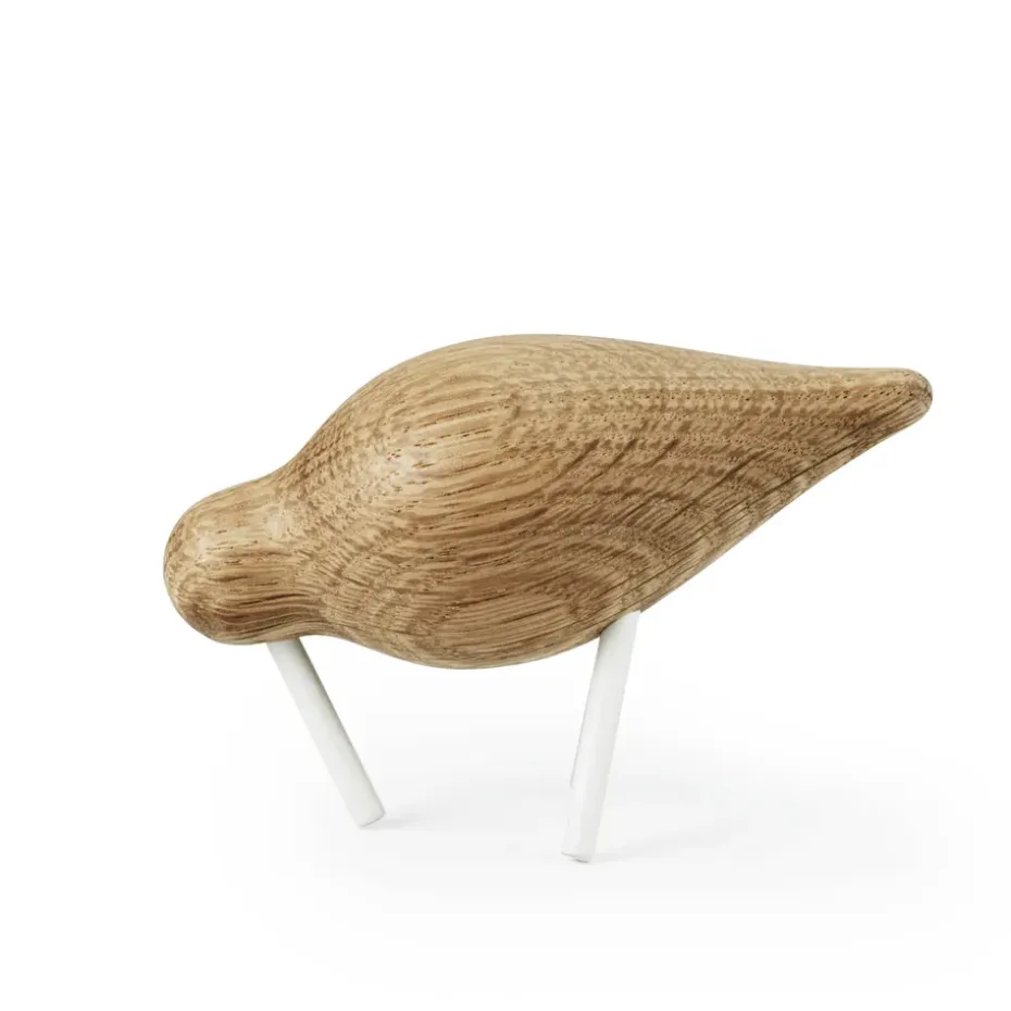 Oiseau marin chêne-blanc, petit