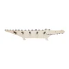 Porte-manteau Crocodile, Nature