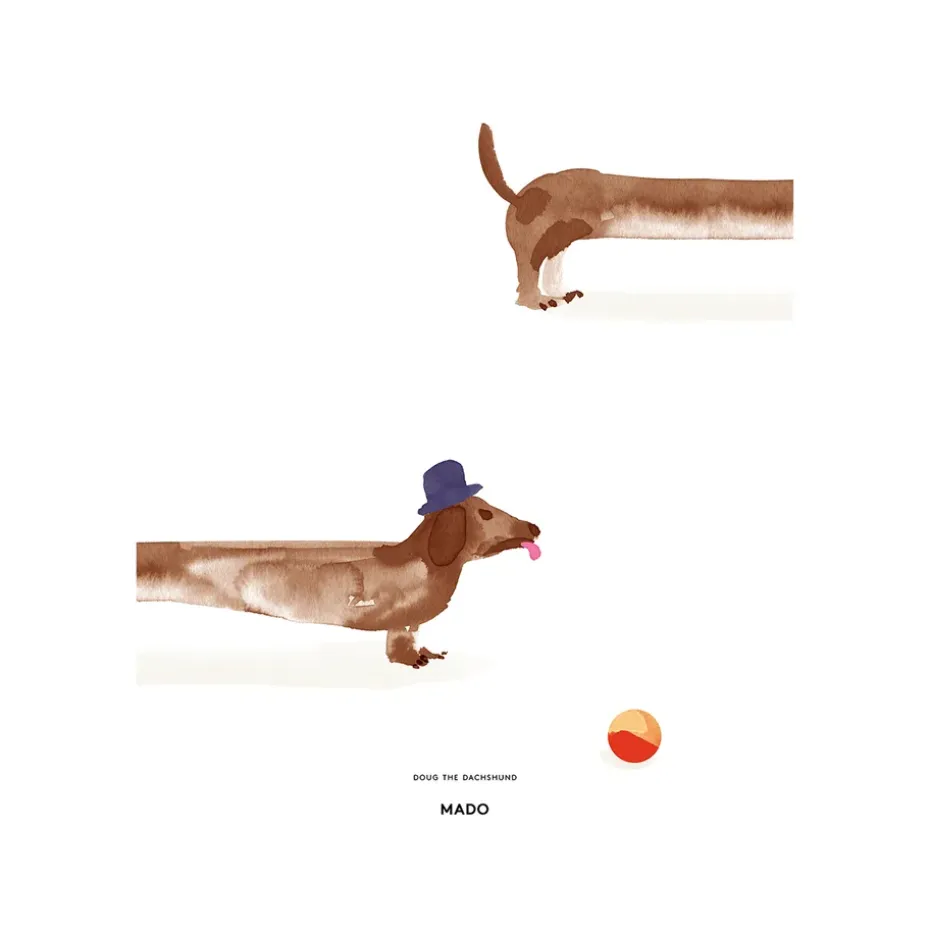 Poster Doug the Dachshund, 50x70 cm