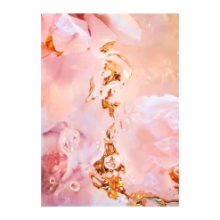 Poster Flora Aquatica 02, 50x70 cm