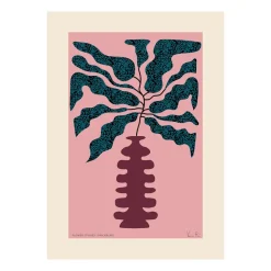 Poster Flower Studies 01 (Canne du muet), 30x40 cm