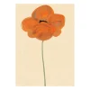 Poster Orange Vallmo, 30x40 cm