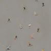 Poster Skiers 40x50 cm, Gris