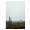 Poster Skog, 70x100 cm
