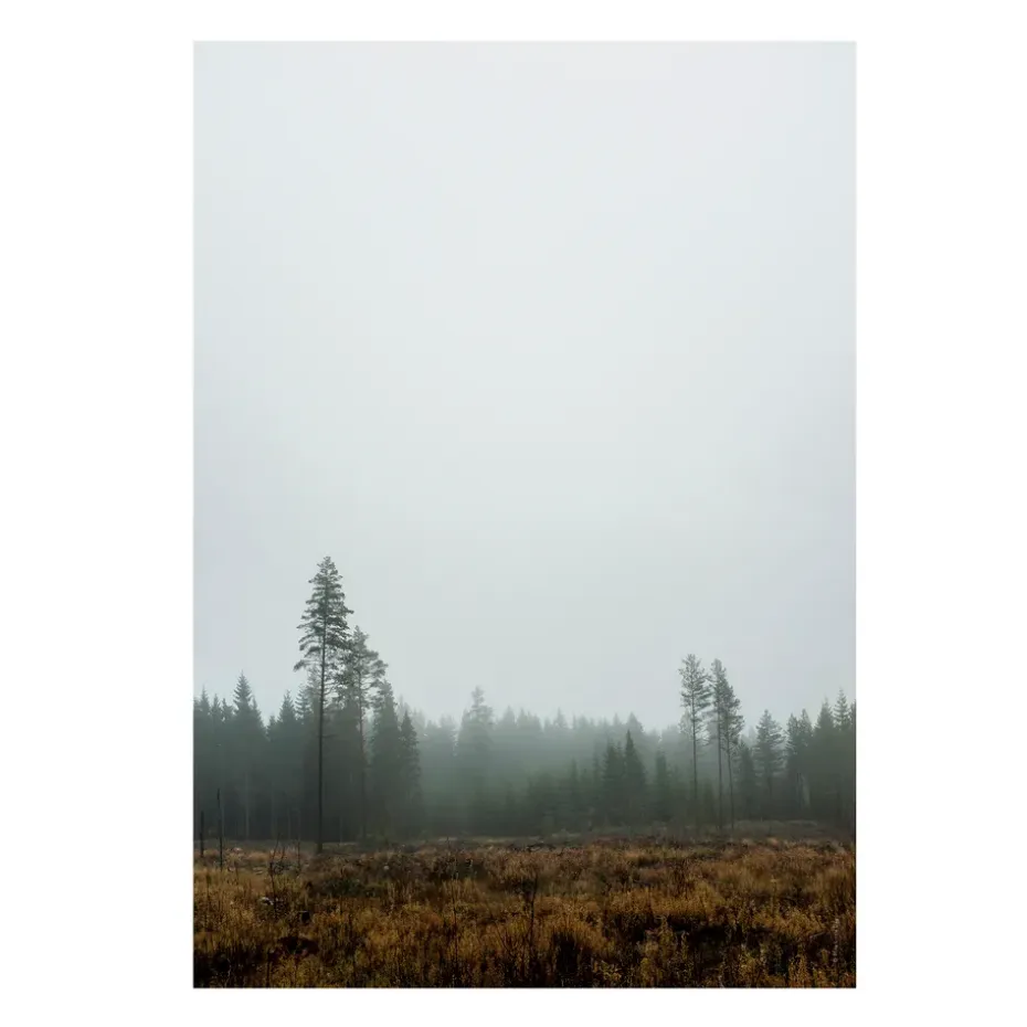 Poster Skog, 70x100 cm