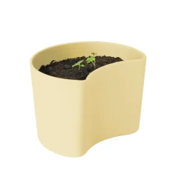 Pot avec graines YOUR TREE, Jaune (Bouleau)