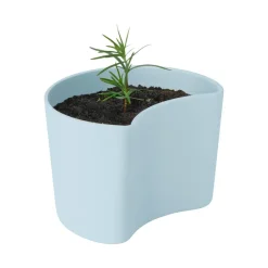 Pot avec graines YOUR TREE, Bleu (Pin)
