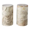 Salière et poivrière Vita, Seashell