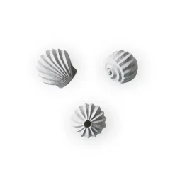 Sculpture The Genesis Shells Lot de 3, Limestone