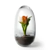 Serre Grow, Moyen ø11 cm