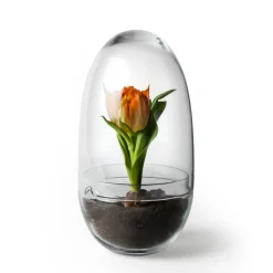 Serre Grow, Moyen ø11 cm