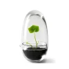 Serre Grow, Small ø8 cm