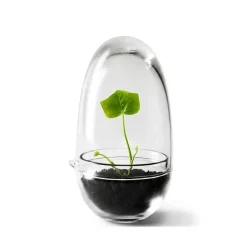 Serre Grow, Small ø8 cm