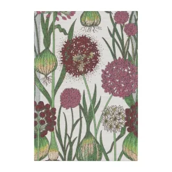 Serviette de cuisine Allium 35x50 cm, Multi