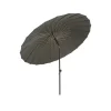 Shanghai parasol, Grey-lemon