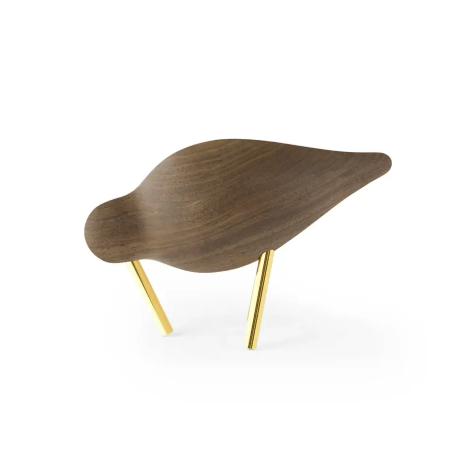 Shorebird noyer-Laiton, Petit