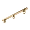 Suspension Focus L900 switch tune, Brass