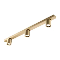 Suspension Focus L900 switch tune, Brass