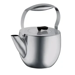 Théière Bodum Columbia, Mat