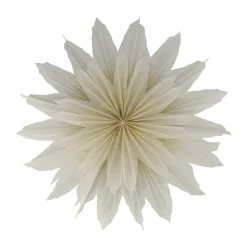 Étoile de l’Avent Brisk, Ø50 cm