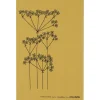 Torchon Picknick, Ocre