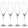 Verre à champagne Karlevi Lot de 4, 21 cl