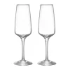 Verre à champagne Pulse 28 cl Lot de 2, Transparent