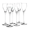 Verre à schnaps Perfection 5,5 cl, lot de 6, Transparent