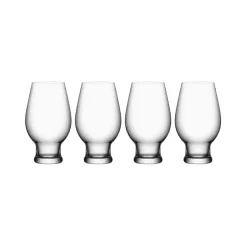 Verres à bière Beer IPA, lot de 4, 47 cl